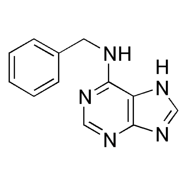 6-アミノプリン(Sig) 1g