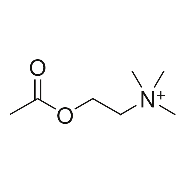 アセチルコリン(塩化) 25g