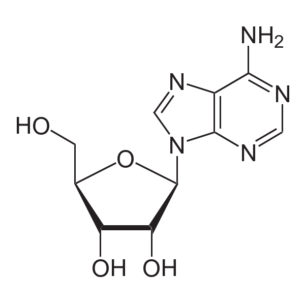 A・T・P(アデノシン-5'-三リン酸二ナトリウム) 500mg